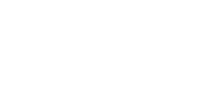 bismart-international-logo-blanc